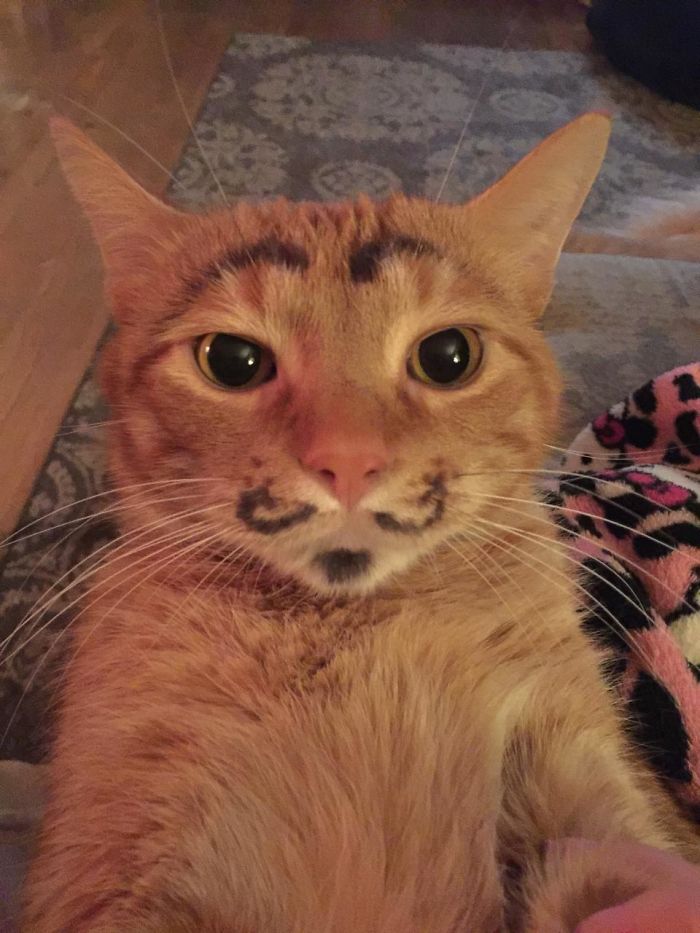 50 Hilarious Pics That Show What Happens When You Leave Your Kids Alone