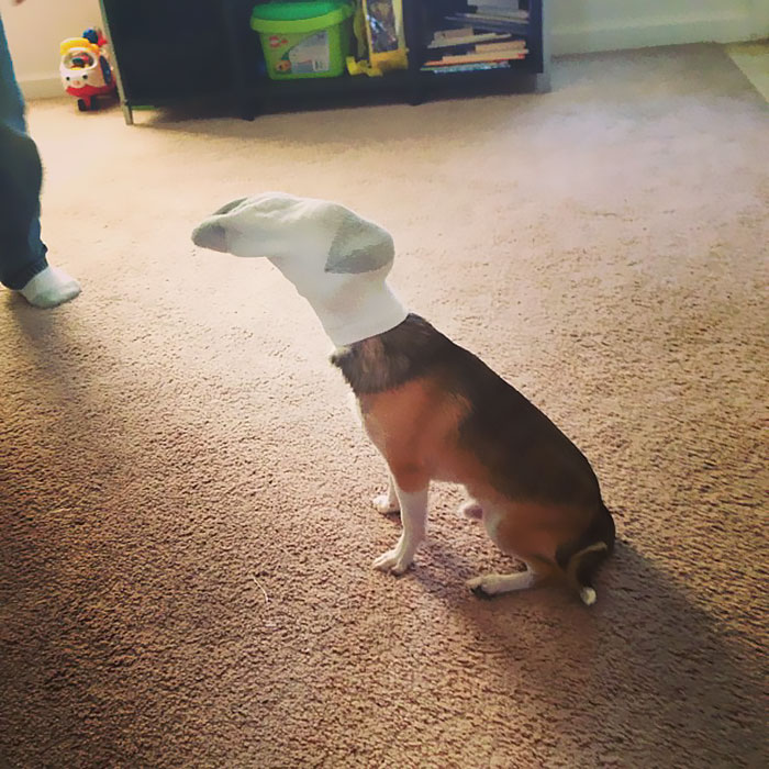 50 Hilarious Pics That Show What Happens When You Leave Your Kids Alone