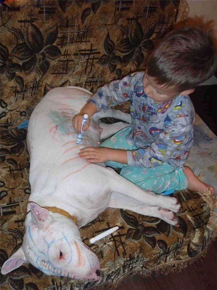 50 Hilarious Pics That Show What Happens When You Leave Your Kids Alone