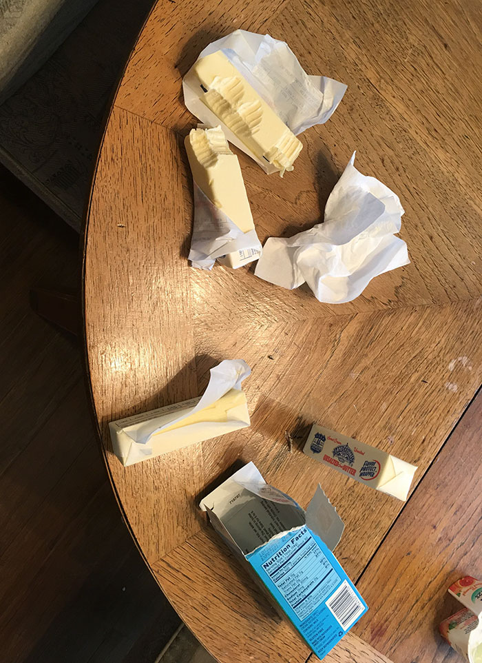 50 Hilarious Pics That Show What Happens When You Leave Your Kids Alone