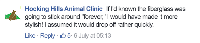 Vet Uses Fiberglass To Fix Turtle&#8217;s Shell Broken In Car Accident And Releases Him In Woods, Then A Few Years Later&#8230;