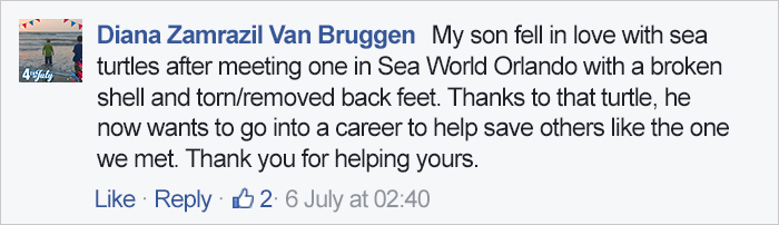 Vet Uses Fiberglass To Fix Turtle&#8217;s Shell Broken In Car Accident And Releases Him In Woods, Then A Few Years Later&#8230;