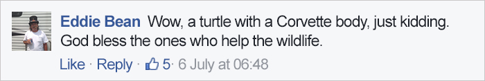 Vet Uses Fiberglass To Fix Turtle&#8217;s Shell Broken In Car Accident And Releases Him In Woods, Then A Few Years Later&#8230;