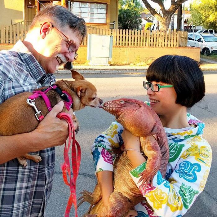 This Dog-Sized Lizard Is Instagram’s Latest Four-Legged Sensation, And His Pics Will Make Your Day This Dog-Sized Lizard Is Instagram’s Latest Four-Legged Sensation, And His Pics Will Make Your Day