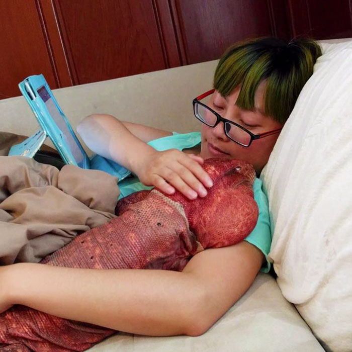 This Dog-Sized Lizard Is Instagram’s Latest Four-Legged Sensation, And His Pics Will Make Your Day This Dog-Sized Lizard Is Instagram’s Latest Four-Legged Sensation, And His Pics Will Make Your Day