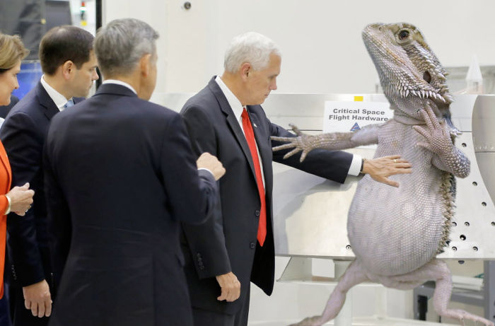 Mike Pence Ignores NASA’s ‘Do Not Touch’ Sign, And The Internet’s Response Is Merciless Mike Pence Ignores NASA’s ‘Do Not Touch’ Sign, And The Internet’s Response Is Merciless