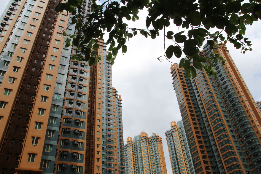 This Is Our Expedition In Hong Kong This Is Our Expedition In Hong Kong