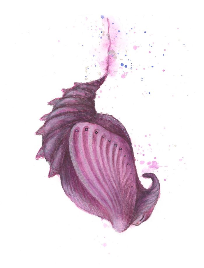 I Created A Land Full Of Mystical Creatures