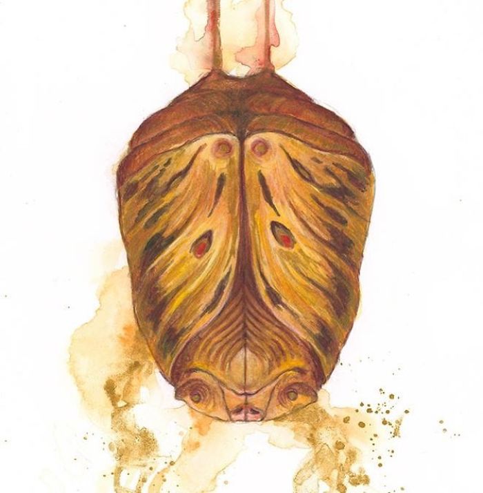 I Created A Land Full Of Mystical Creatures