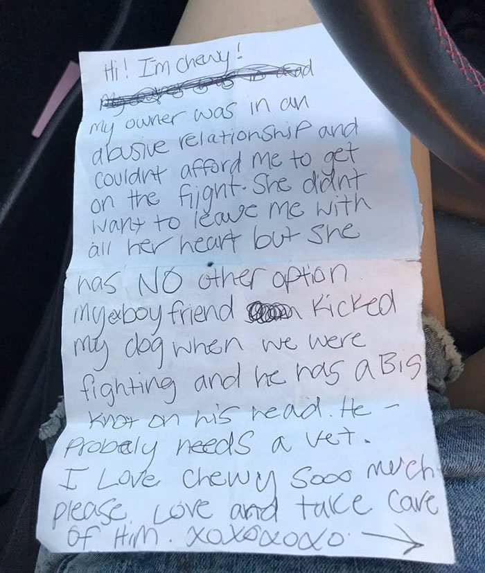 Puppy Abandoned At The Airport Had A Heartbreaking Note From His Owner, And It’ll Make You Cry Puppy Abandoned At The Airport Had A Heartbreaking Note From His Owner, And It’ll Make You Cry