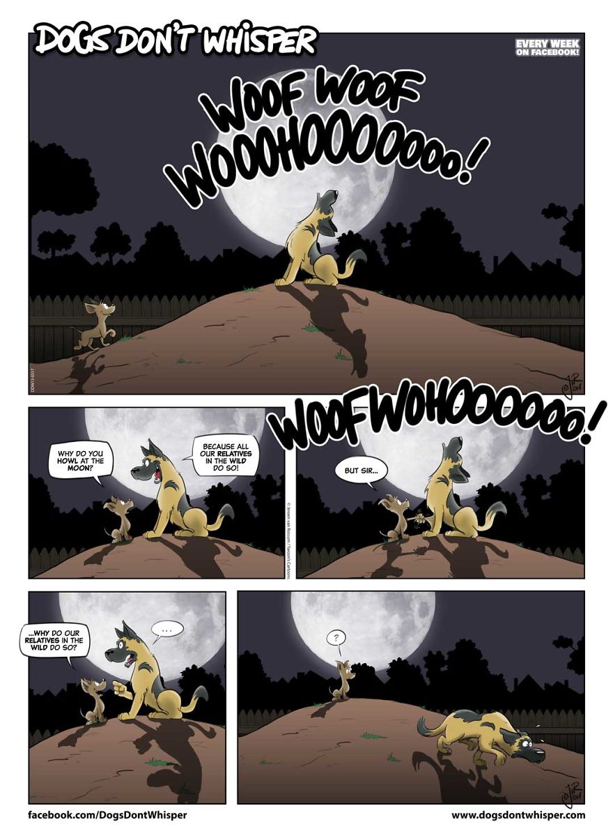 I’m A Dog Behaviour Therapist And I Draw Comic Strips About Dogs I’m A Dog Behaviour Therapist And I Draw Comic Strips About Dogs