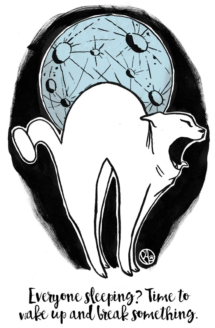 My Girlfriend Illustrates Our Life With 3 Cats And A Dog My Girlfriend Illustrates Our Life With 3 Cats And A Dog