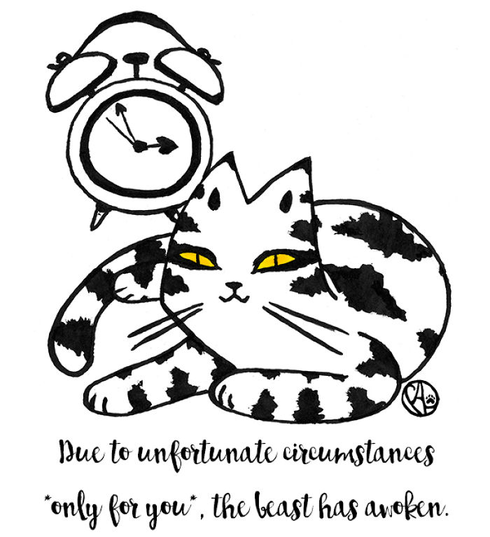 My Girlfriend Illustrates Our Life With 3 Cats And A Dog My Girlfriend Illustrates Our Life With 3 Cats And A Dog