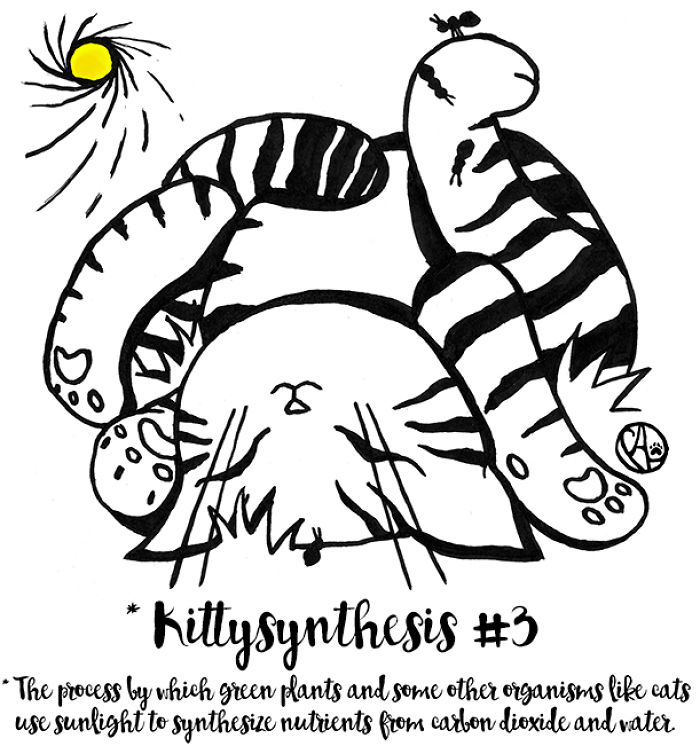 My Girlfriend Illustrates Our Life With 3 Cats And A Dog My Girlfriend Illustrates Our Life With 3 Cats And A Dog