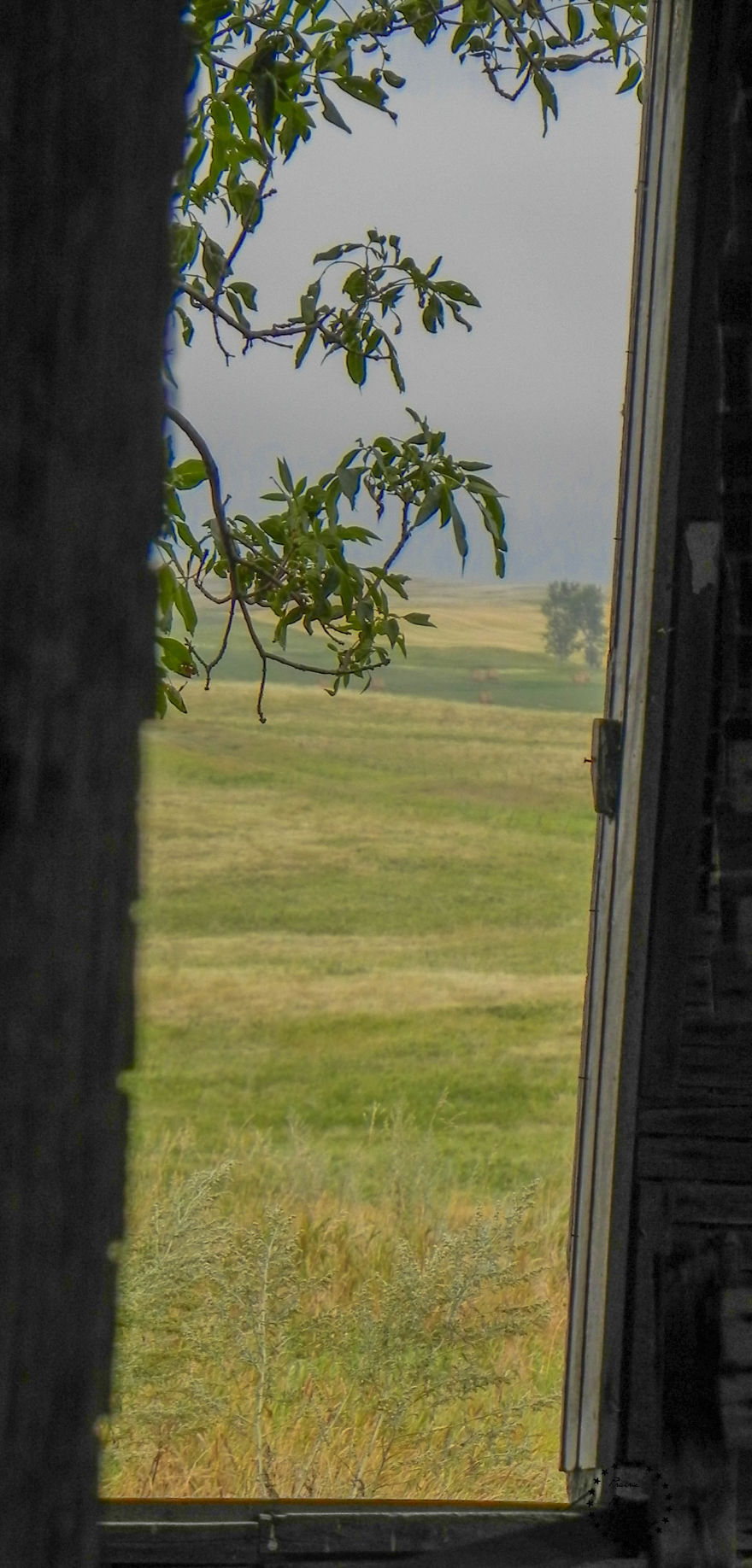 I Photograph The Views From Abandoned Prairie Place’s Doors And Windows I Photograph The Views From Abandoned Prairie Place’s Doors And Windows