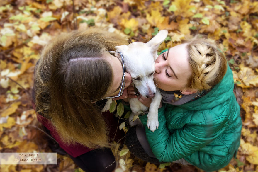 Stories Of Rescued Animals Educates People, Encouraging Them To Perform Good Deeds Stories Of Rescued Animals Educates People, Encouraging Them To Perform Good Deeds