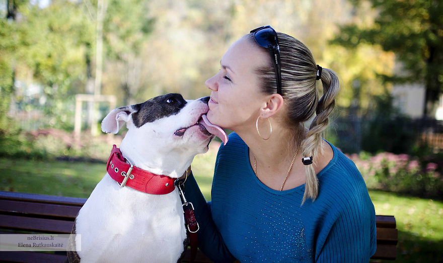 Stories Of Rescued Animals Educates People, Encouraging Them To Perform Good Deeds Stories Of Rescued Animals Educates People, Encouraging Them To Perform Good Deeds