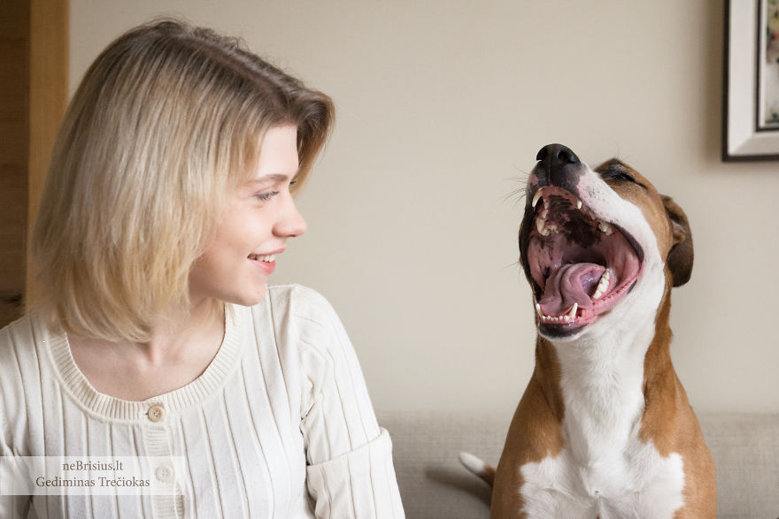 Stories Of Rescued Animals Educates People, Encouraging Them To Perform Good Deeds Stories Of Rescued Animals Educates People, Encouraging Them To Perform Good Deeds