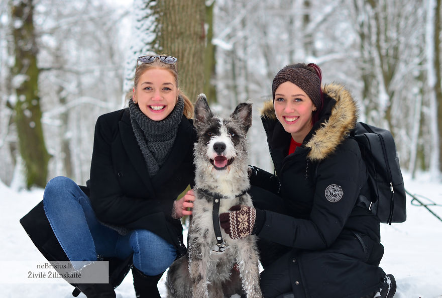 Stories Of Rescued Animals Educates People, Encouraging Them To Perform Good Deeds Stories Of Rescued Animals Educates People, Encouraging Them To Perform Good Deeds