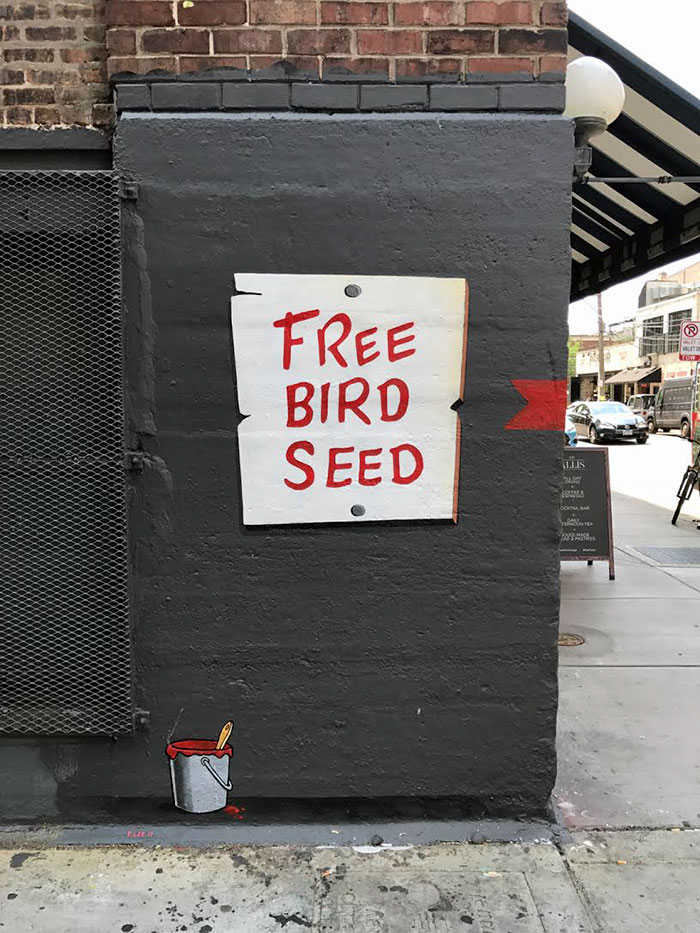 This &#8216;Free Bird Seed&#8217; Graffiti Leads To Unexpected Surprise In Chicago