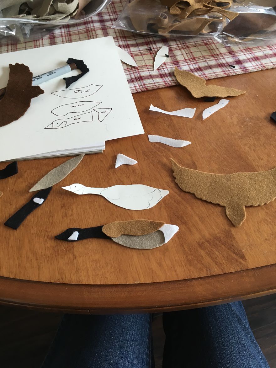 I Found My Feet In Canada And These Birds Found Their Wings