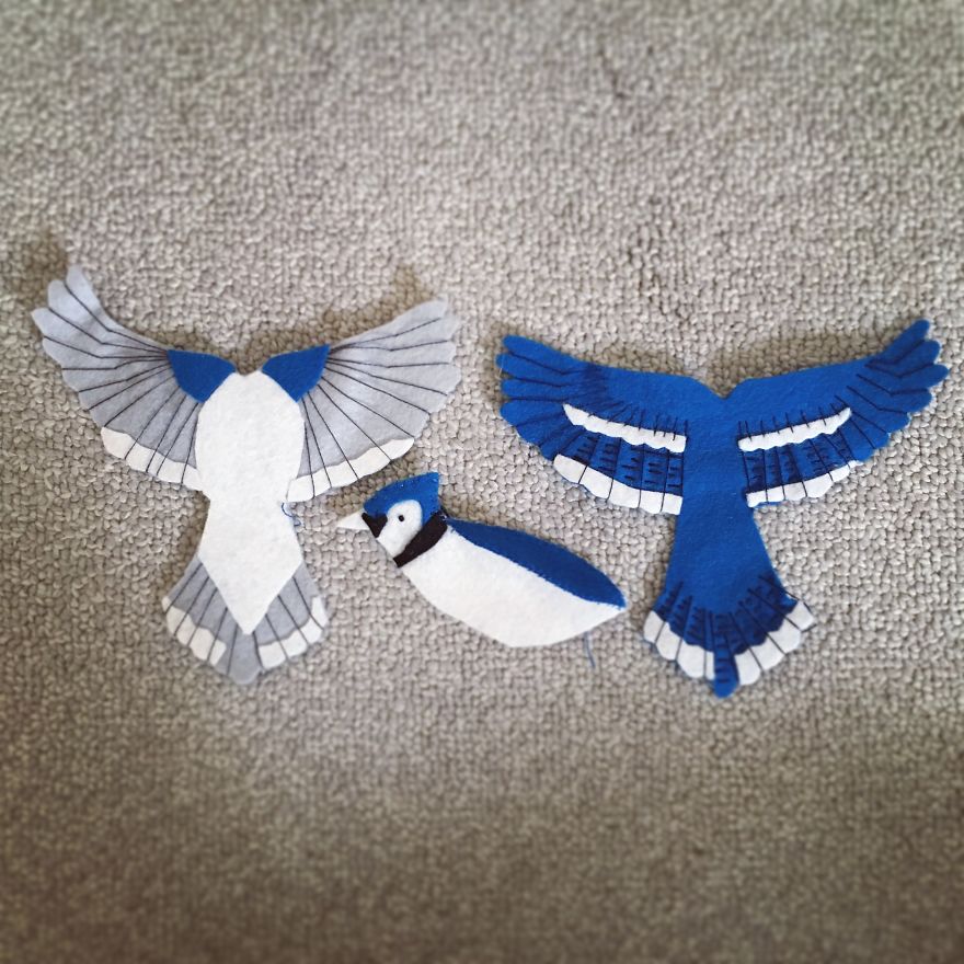 I Found My Feet In Canada And These Birds Found Their Wings