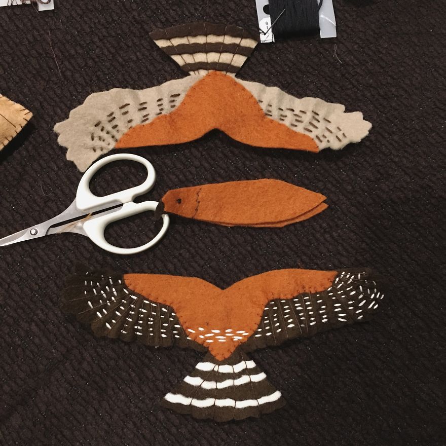 I Found My Feet In Canada And These Birds Found Their Wings