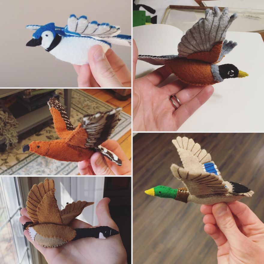 I Found My Feet In Canada And These Birds Found Their Wings