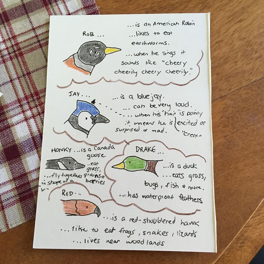 I Found My Feet In Canada And These Birds Found Their Wings