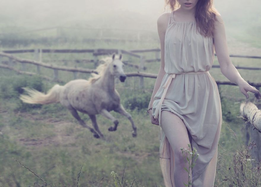 Where The Wild Horses Run Where The Wild Horses Run