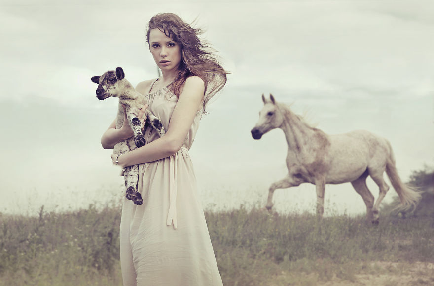 Where The Wild Horses Run Where The Wild Horses Run