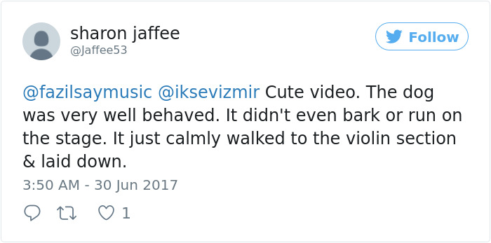 Dog Interrupts Orchestra Performance In Cutest Way Ever, Gets Rounds Of Applause Dog Interrupts Orchestra Performance In Cutest Way Ever, Gets Rounds Of Applause