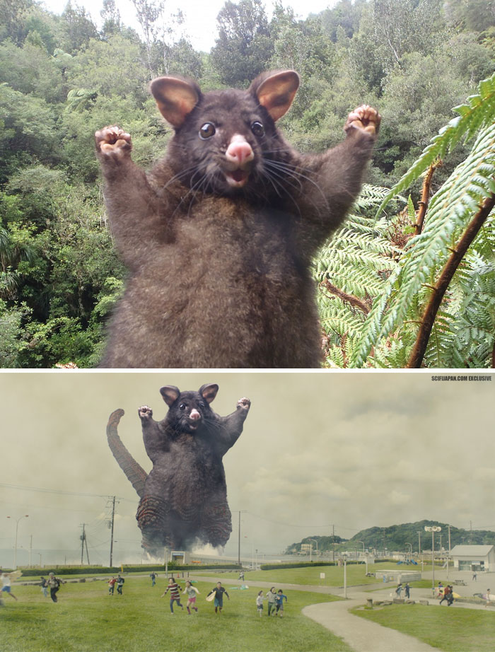 The Winners Of The Greatest Photoshop Battles Ever (100 Pics) The Winners Of The Greatest Photoshop Battles Ever (100 Pics)