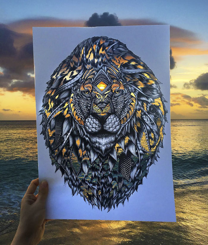 41 Incredibly Detailed Animal Drawings By Faye Halliday