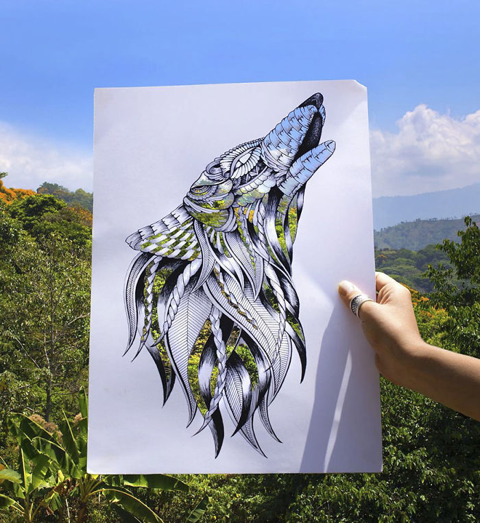 41 Incredibly Detailed Animal Drawings By Faye Halliday