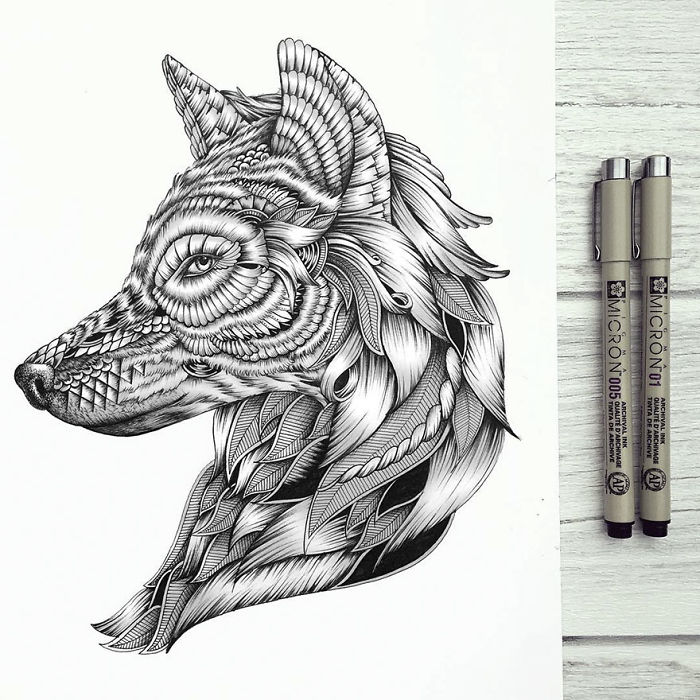41 Incredibly Detailed Animal Drawings By Faye Halliday