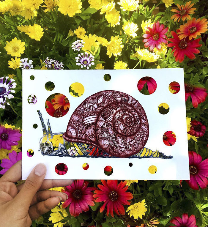 41 Incredibly Detailed Animal Drawings By Faye Halliday