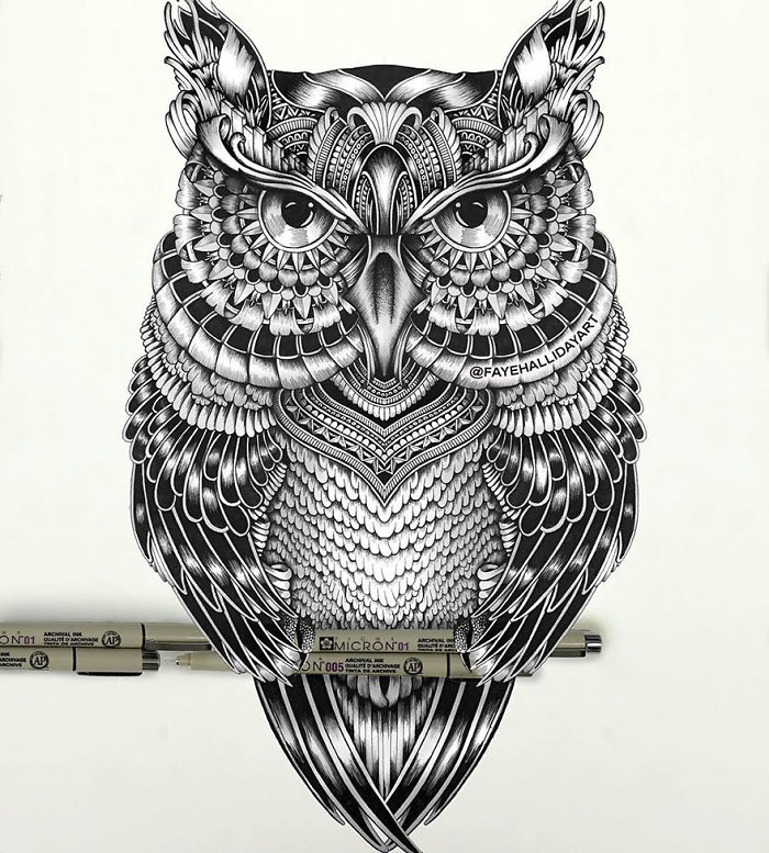 41 Incredibly Detailed Animal Drawings By Faye Halliday