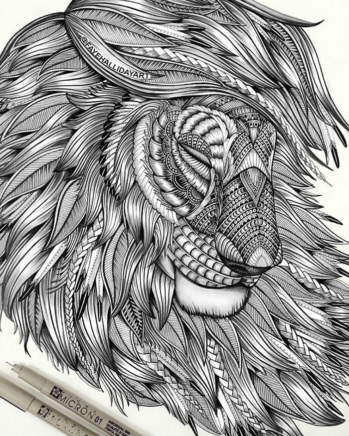 41 Incredibly Detailed Animal Drawings By Faye Halliday