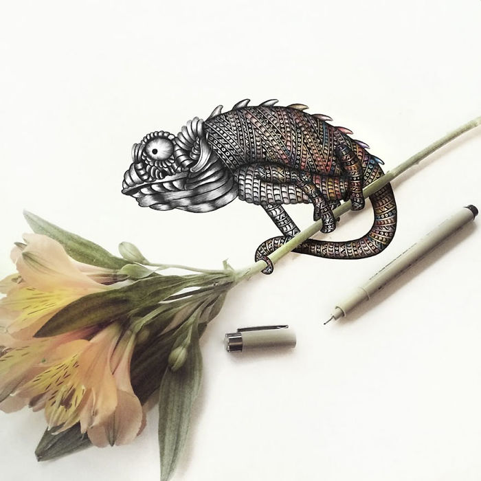 41 Incredibly Detailed Animal Drawings By Faye Halliday