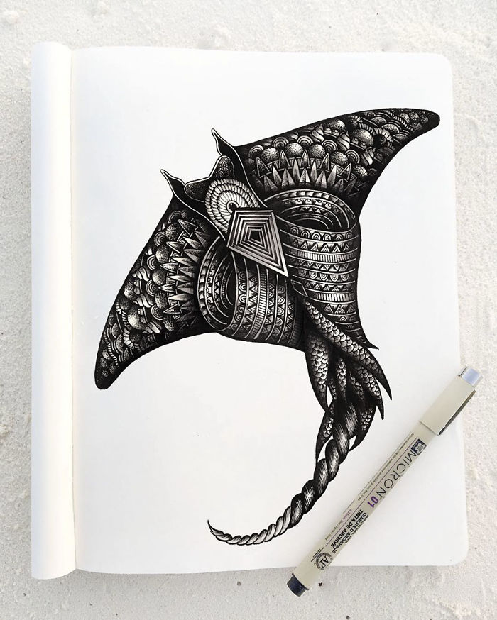 41 Incredibly Detailed Animal Drawings By Faye Halliday