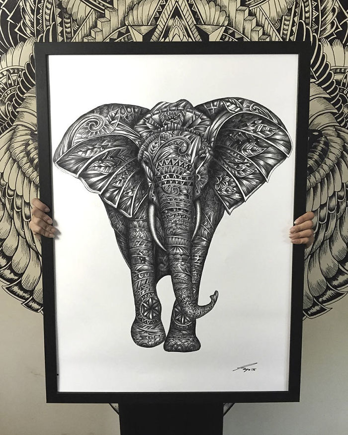 41 Incredibly Detailed Animal Drawings By Faye Halliday