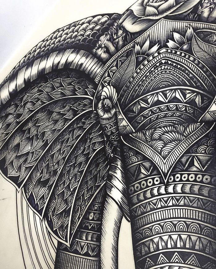 41 Incredibly Detailed Animal Drawings By Faye Halliday