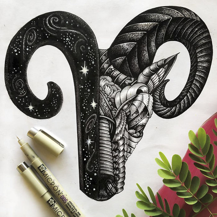 41 Incredibly Detailed Animal Drawings By Faye Halliday