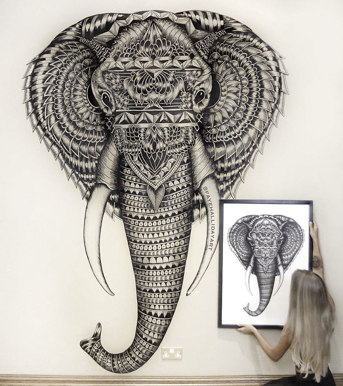 41 Incredibly Detailed Animal Drawings By Faye Halliday