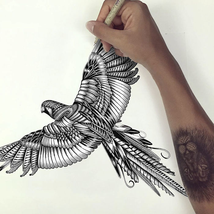 41 Incredibly Detailed Animal Drawings By Faye Halliday
