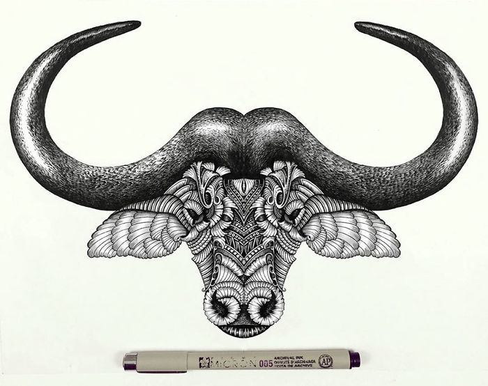 41 Incredibly Detailed Animal Drawings By Faye Halliday
