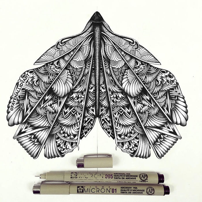 41 Incredibly Detailed Animal Drawings By Faye Halliday