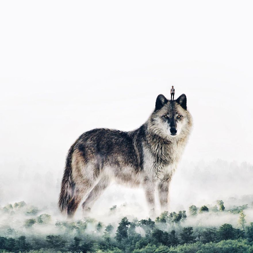 I’m An 18-Year-Old Artist From Portugal And I Like Merging Unexpected Objects To Create Surreal Art I’m An 18-Year-Old Artist From Portugal And I Like Merging Unexpected Objects To Create Surreal Art