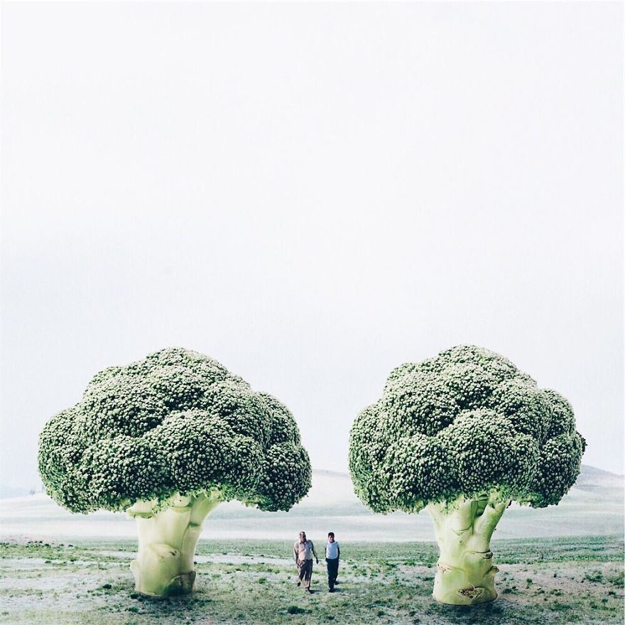 I’m An 18-Year-Old Artist From Portugal And I Like Merging Unexpected Objects To Create Surreal Art I’m An 18-Year-Old Artist From Portugal And I Like Merging Unexpected Objects To Create Surreal Art